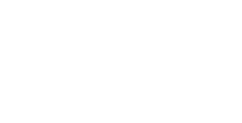 NSI